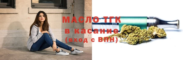 МДПВ Вяземский