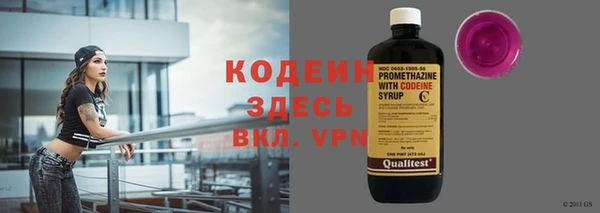 шишки Горнозаводск