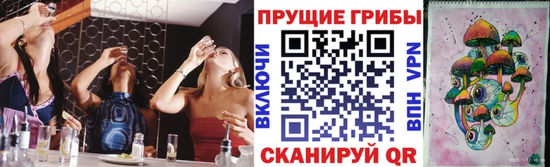 Галлюциногенные грибы MAGIC MUSHROOMS Купить Кохма